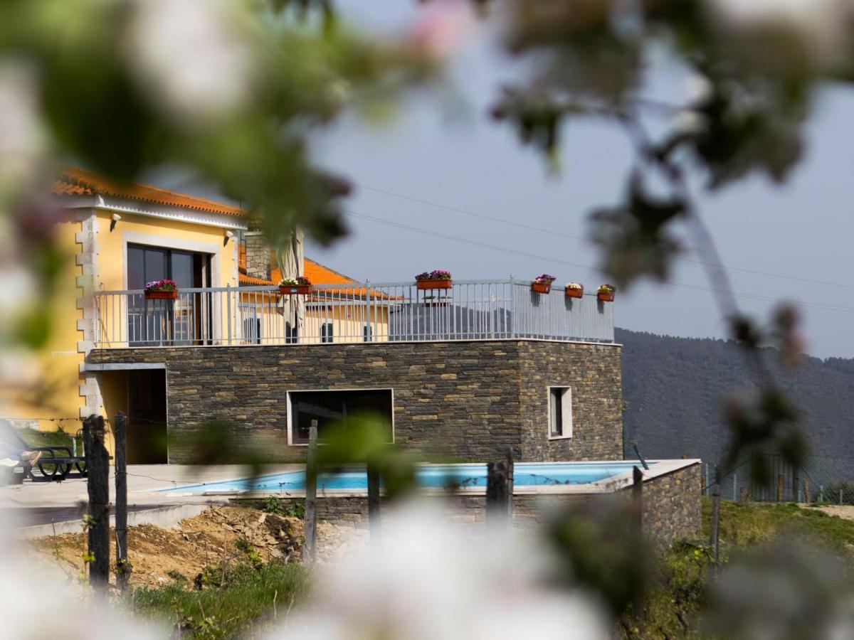 Quinta Da Laceira - Douro Valley - Alojamento Local Vila Real Bagian luar foto